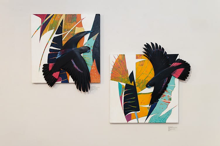 Roland-Nancarrow-Colour,-Leaves,-Light-and-Feathers-install5.jpg